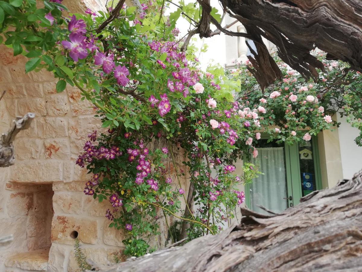B&B Giovannarolla Green House Ostuni Bagian luar foto