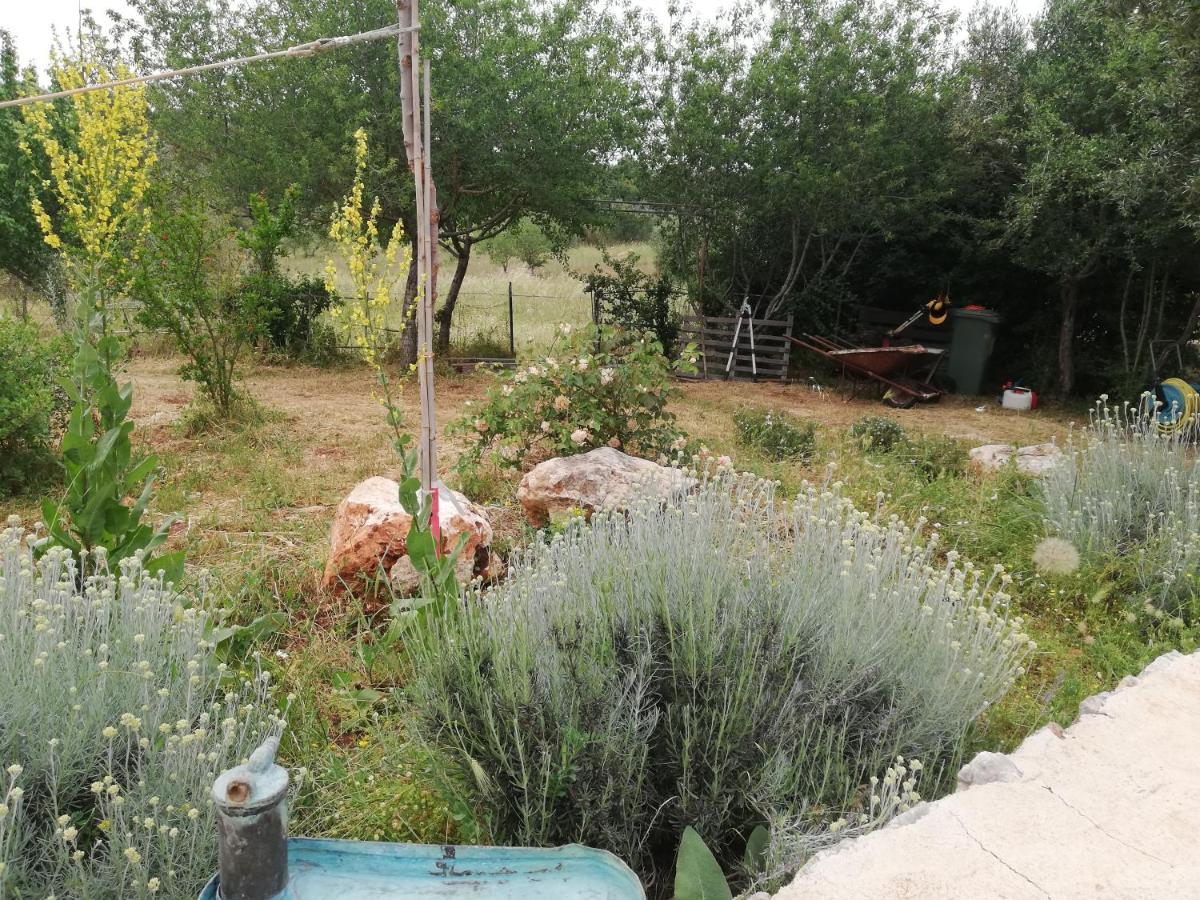 B&B Giovannarolla Green House Ostuni Bagian luar foto