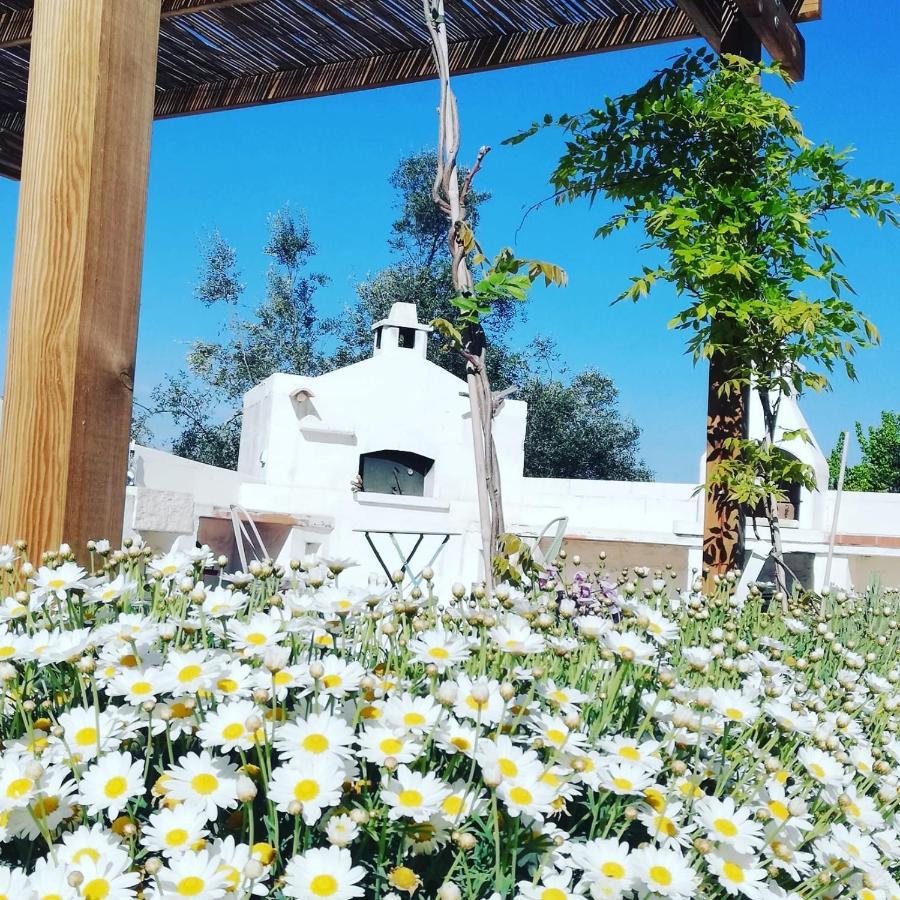 B&B Giovannarolla Green House Ostuni Bagian luar foto