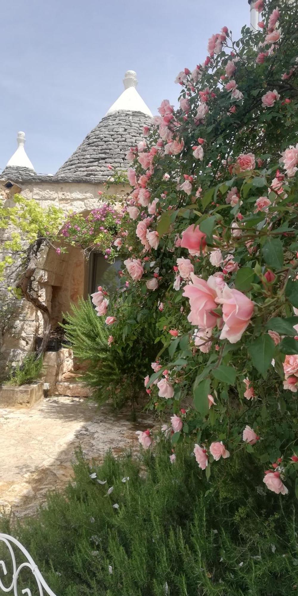 B&B Giovannarolla Green House Ostuni Bagian luar foto