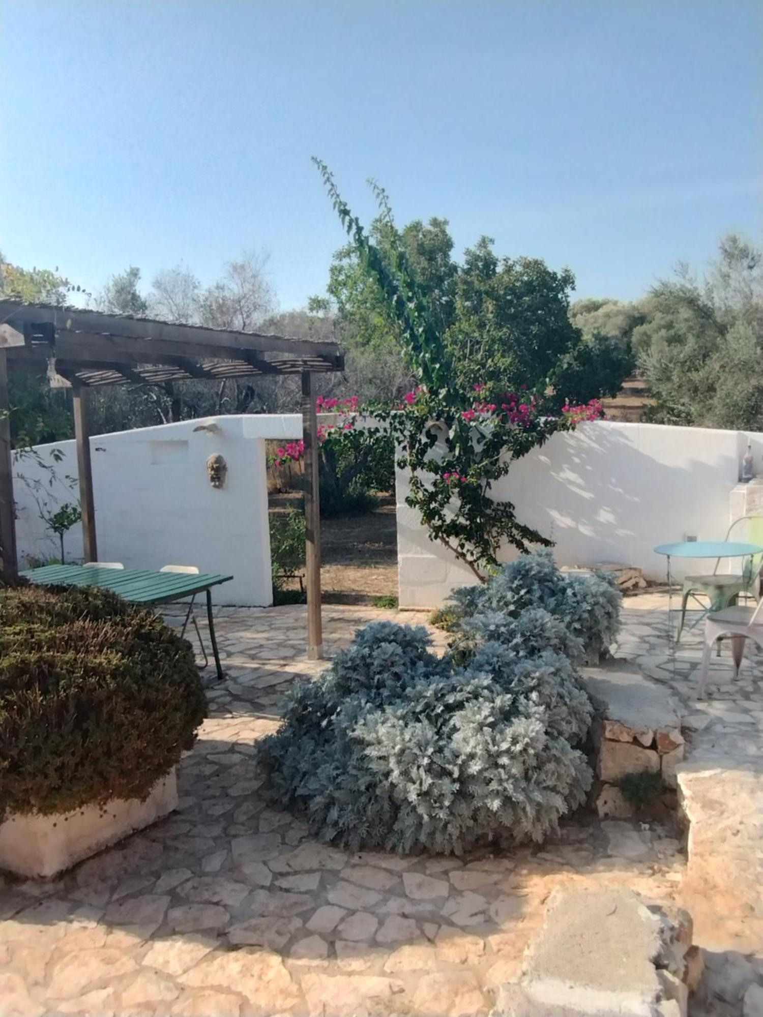 B&B Giovannarolla Green House Ostuni Bagian luar foto